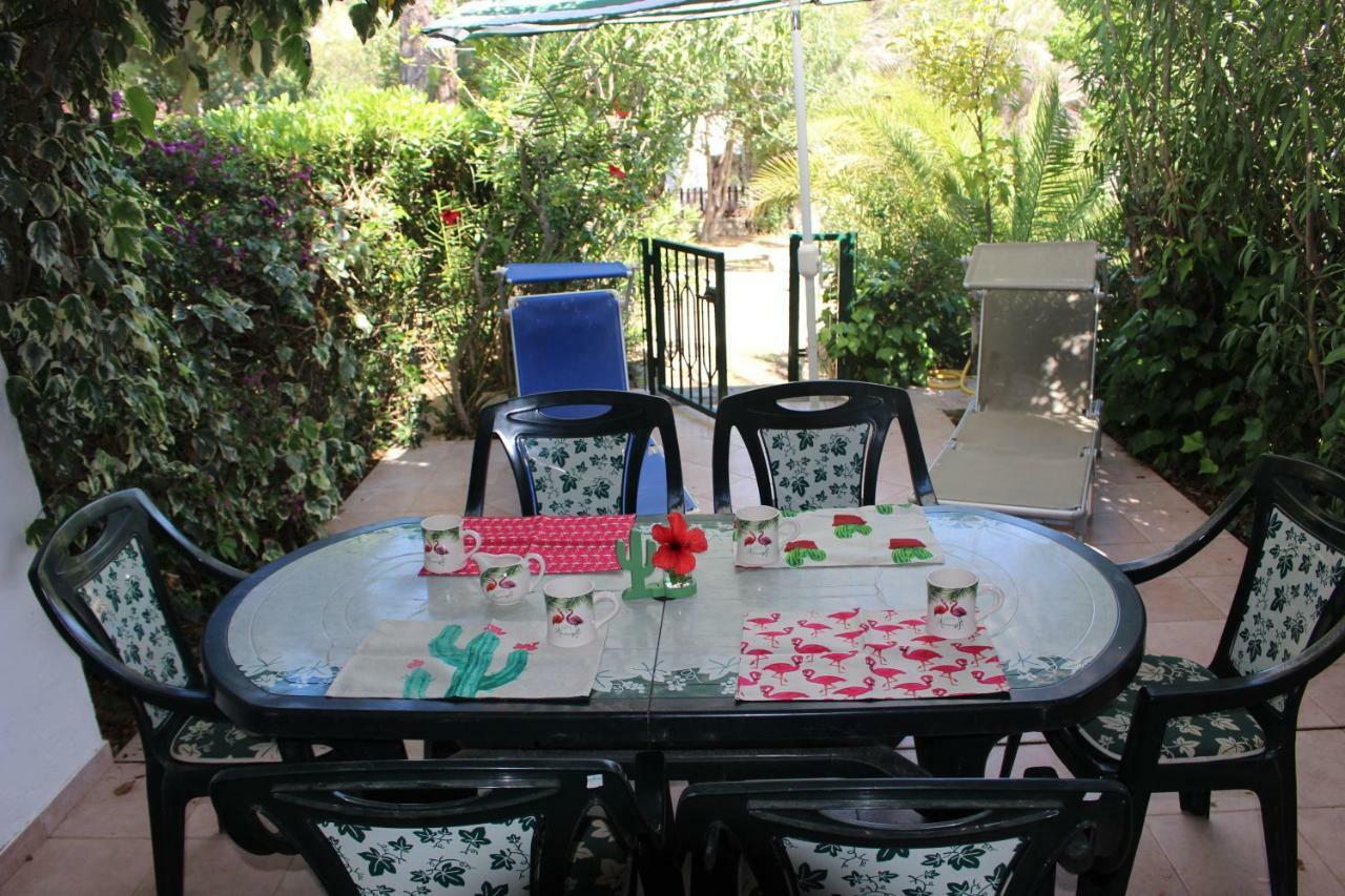 Holiday home Flamingos In The Desert *