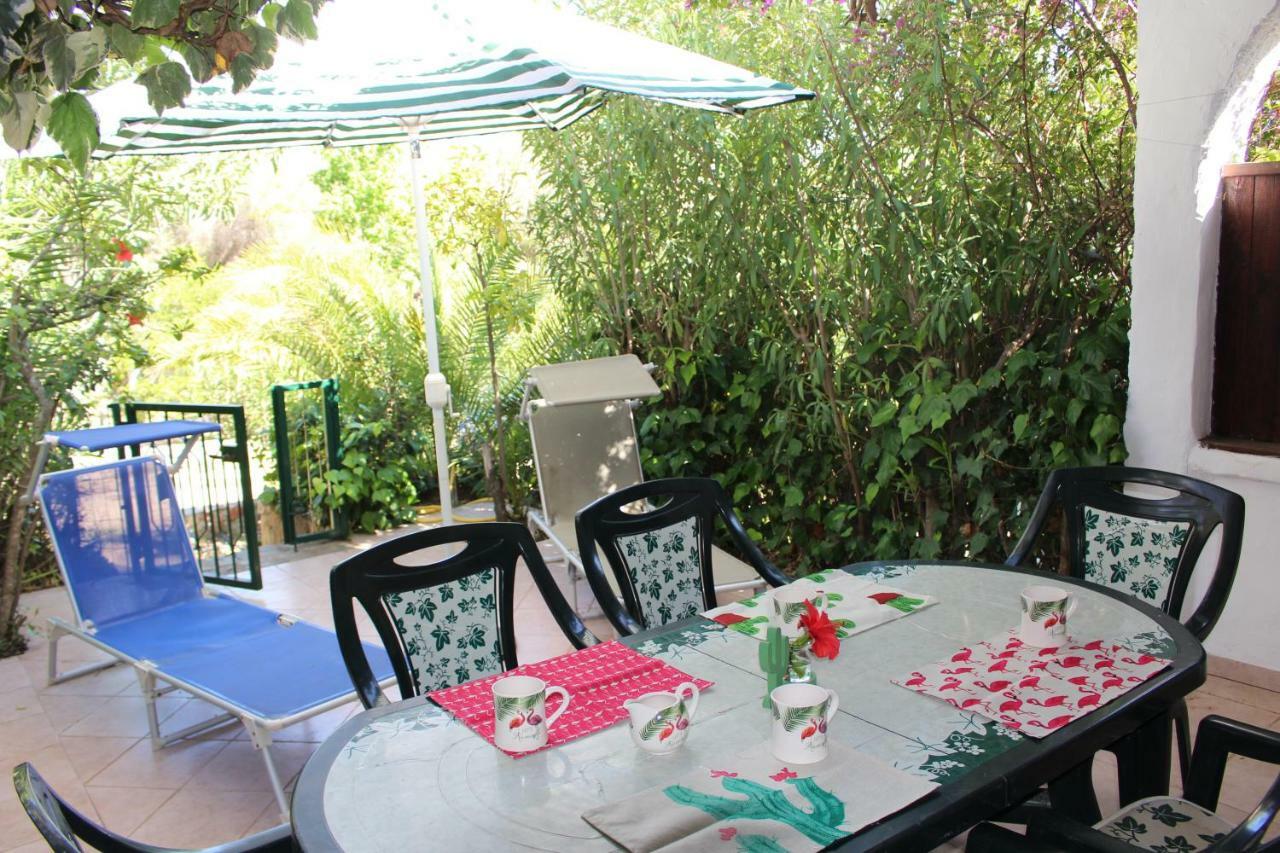 Flamingos In The Desert Holiday home
